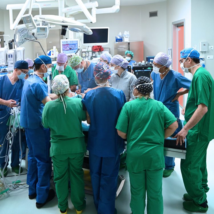 gaslini gemelline siamesi