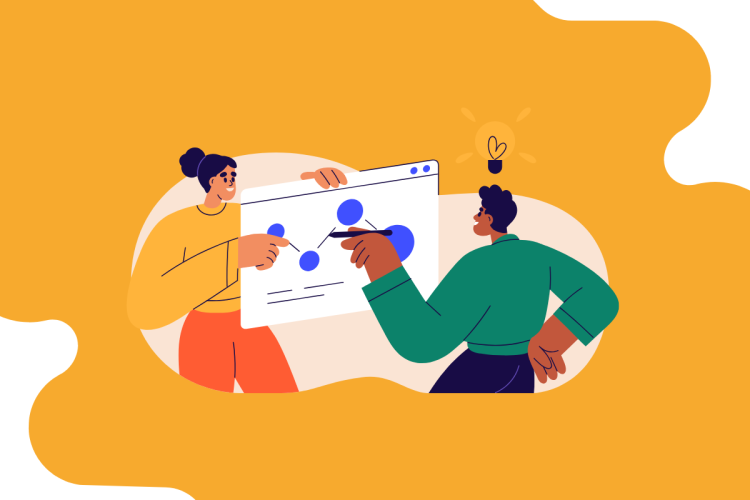 Piano di studi Università