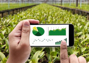 Studiare Scienze Agrarie oggi: clima, salute e lavoro nel futuro dell’agricoltura