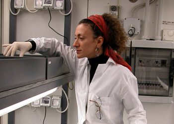 SZN assume collaboratori