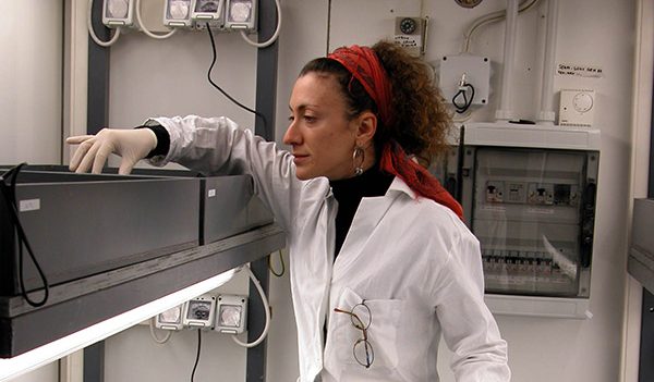 SZN assume collaboratori