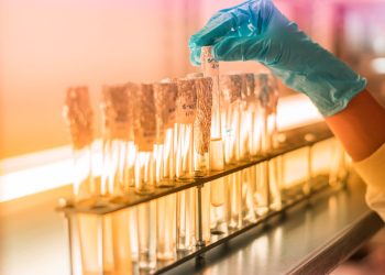 Orientamento, perché scegliere Biotecnologie: intervista al Prof. Natalello dell’Università di Milano-Bicocca