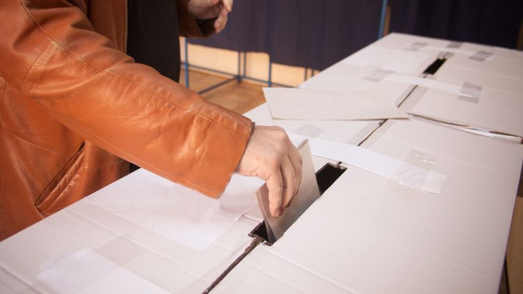 Elezioni regionali Marche 2025: affluenza al 50,1%