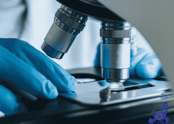 Notte Europea dei Ricercatori 2025: la scienza torna nelle piazze il 26 e 27 settembre