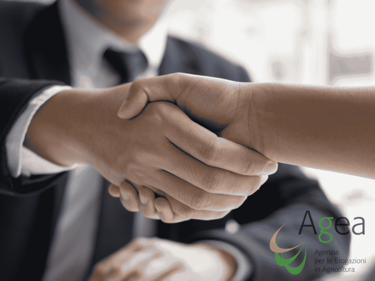 AGEA lancia due concorsi: 13 posti per funzionari contabili e statistici a tempo indeterminato