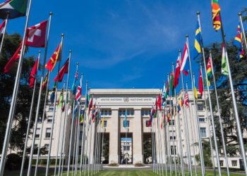 stage internazionali onu