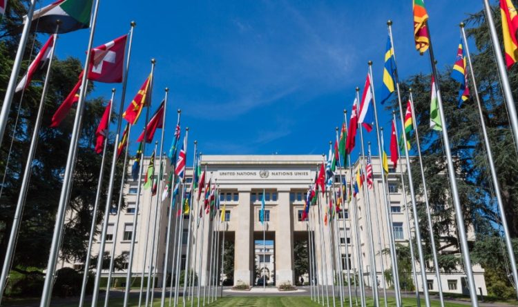 stage internazionali onu