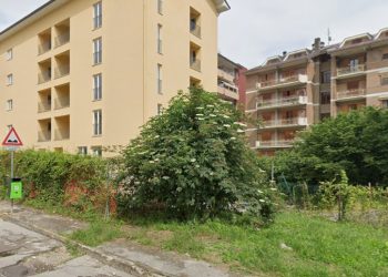 morta insegnante avellino