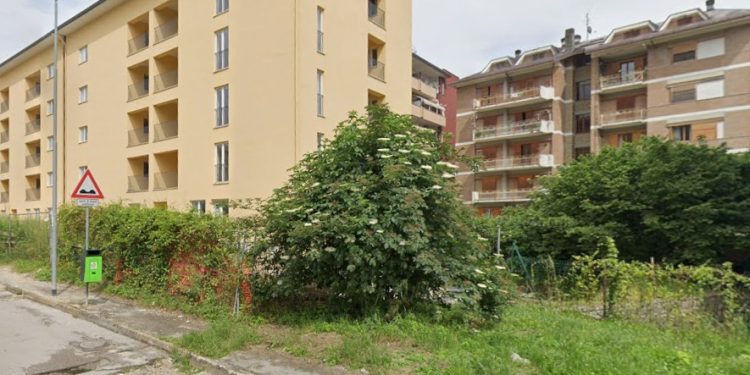 morta insegnante avellino