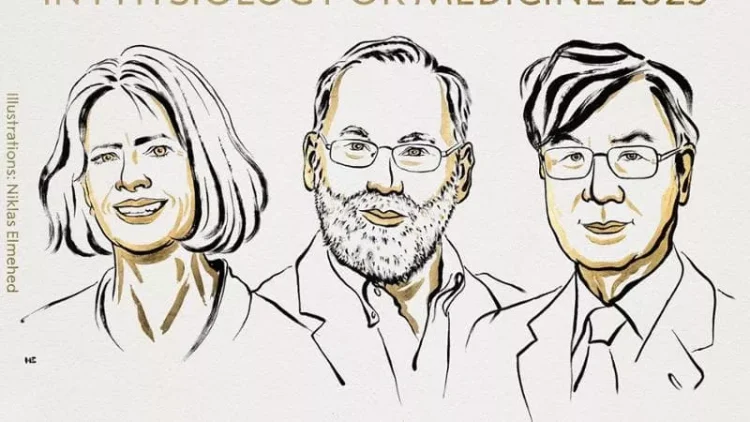 Premio Nobel per la medicina 2025. I vincitori sono Mary Brunkow, Fred Ramsdell e Shimon Sakaguchi