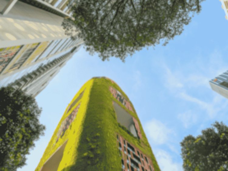 Città circolari: il design come motore della transizione ecologica