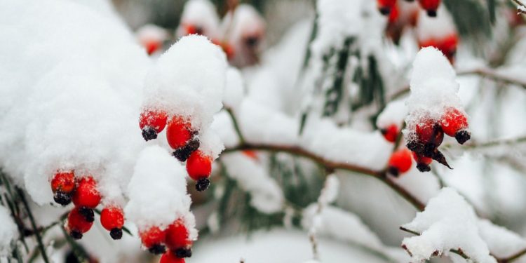 meteo 3bmeteo freddo