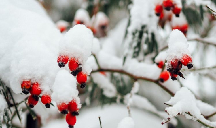 meteo 3bmeteo freddo