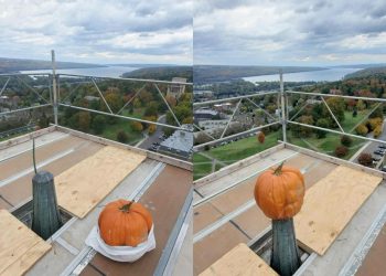 zucca volante univeristà