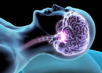 Il sonno è fondamentale per la comunicazione tra i neuroni: una ricerca di UNICAM