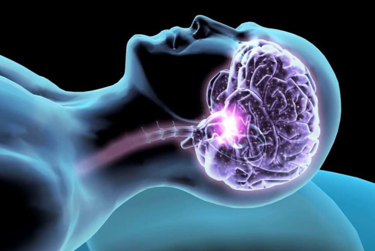 Il sonno è fondamentale per la comunicazione tra i neuroni: una ricerca di UNICAM