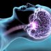 Il sonno è fondamentale per la comunicazione tra i neuroni: una ricerca di UNICAM
