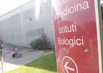 Università di Verona, aperta procedura di annullamento concorso per il figlio dell’ex rettore