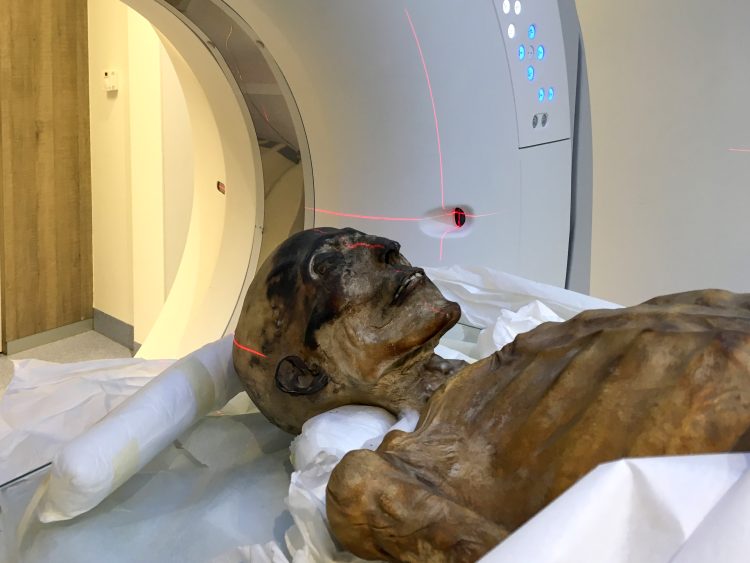 Mummie dell’antico Egitto studiate con la TAC: il progetto dell’Università di Torino