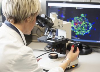 Il 10,4% dei dottori di ricerca vive all’estero. Italia sotto la media europea per quota nella popolazione