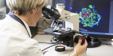 Il 10,4% dei dottori di ricerca vive all’estero. Italia sotto la media europea per quota nella popolazione