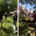 Parma, studenti aggrediscono due docenti in un parco vicino alla scuola