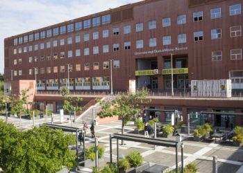 Confronto sulla prevenzione della violenza di genere nelle università