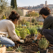 Giovani impegnati nella cura di un orto comunitario